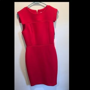 Women’s formal dress